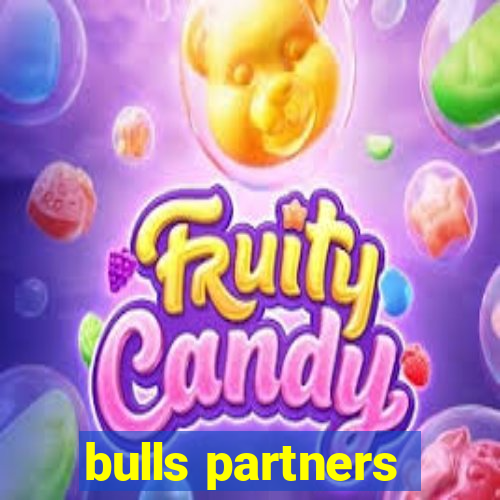 bulls partners